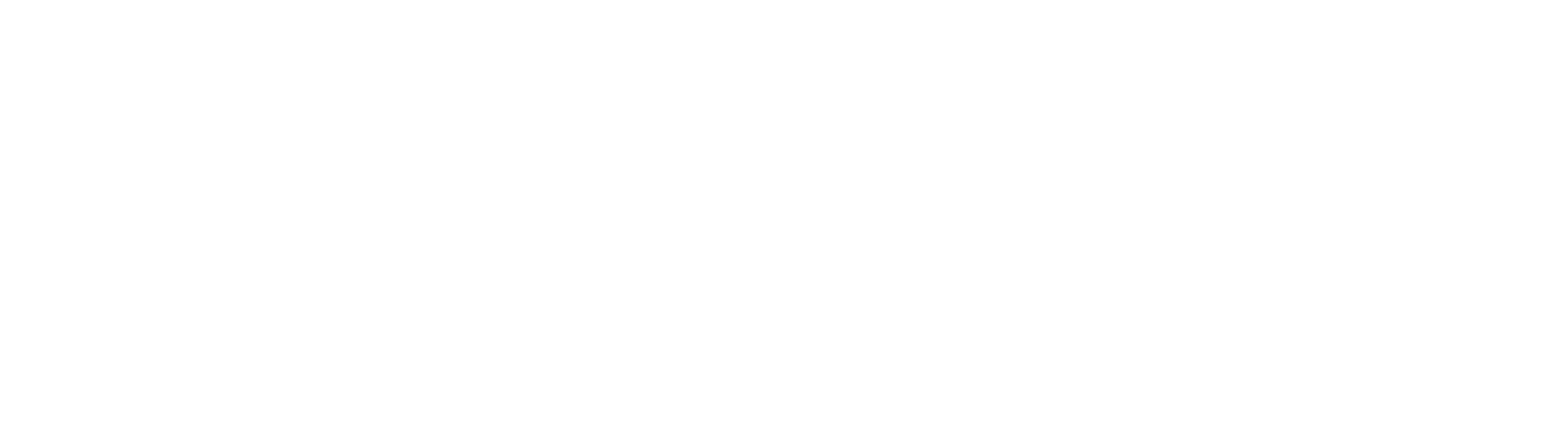 Drumtion.com logo